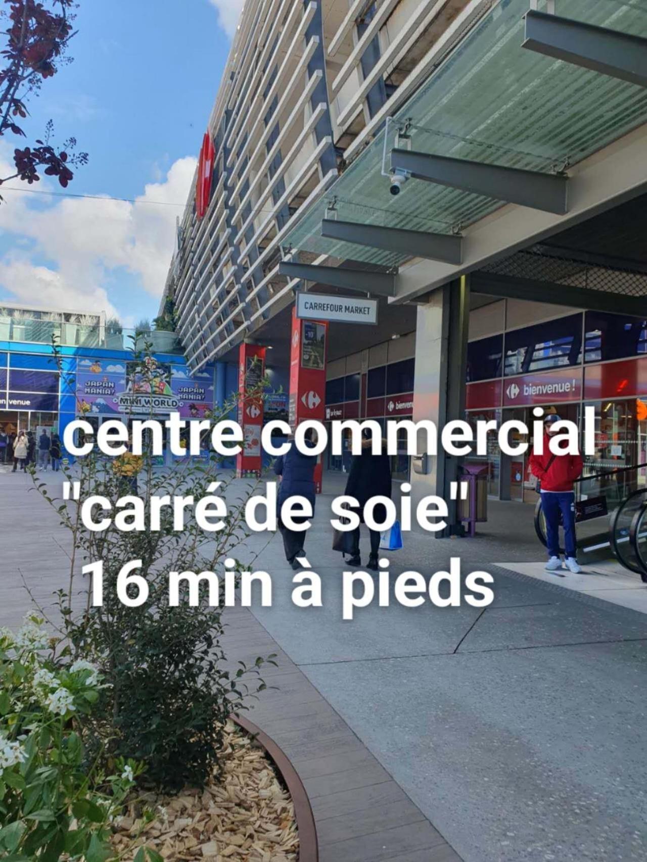 Medipole T2 Avec Un Garage Gratuit Sur Place, 16Min A Centre Ville Lyon En Metro A Вийёрбан Экстерьер фото